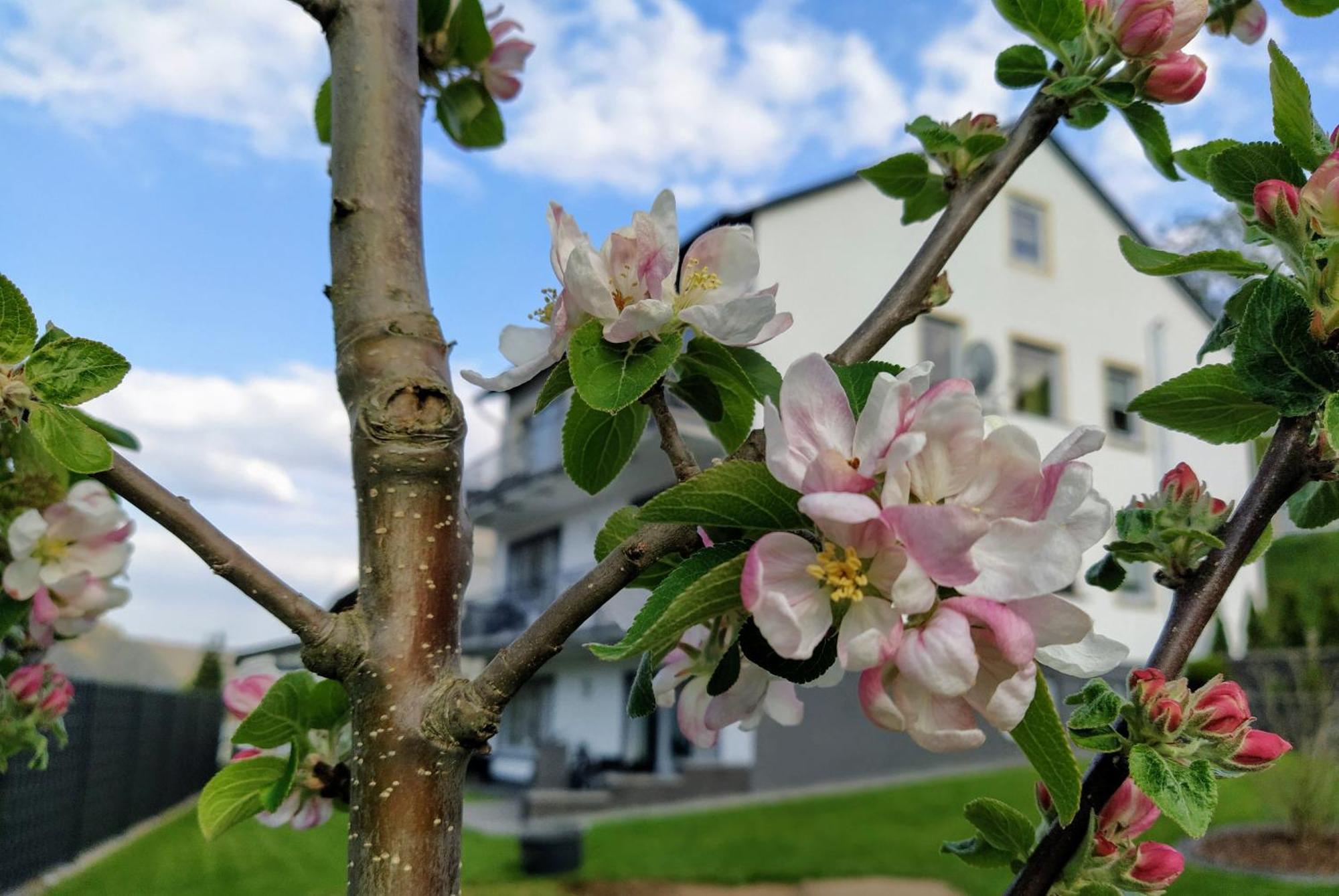 Ferienwohnung Kleine Auszeit Cochem Exterior foto